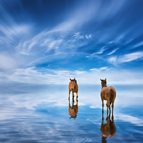 本轮牛市的核心主线是什么？